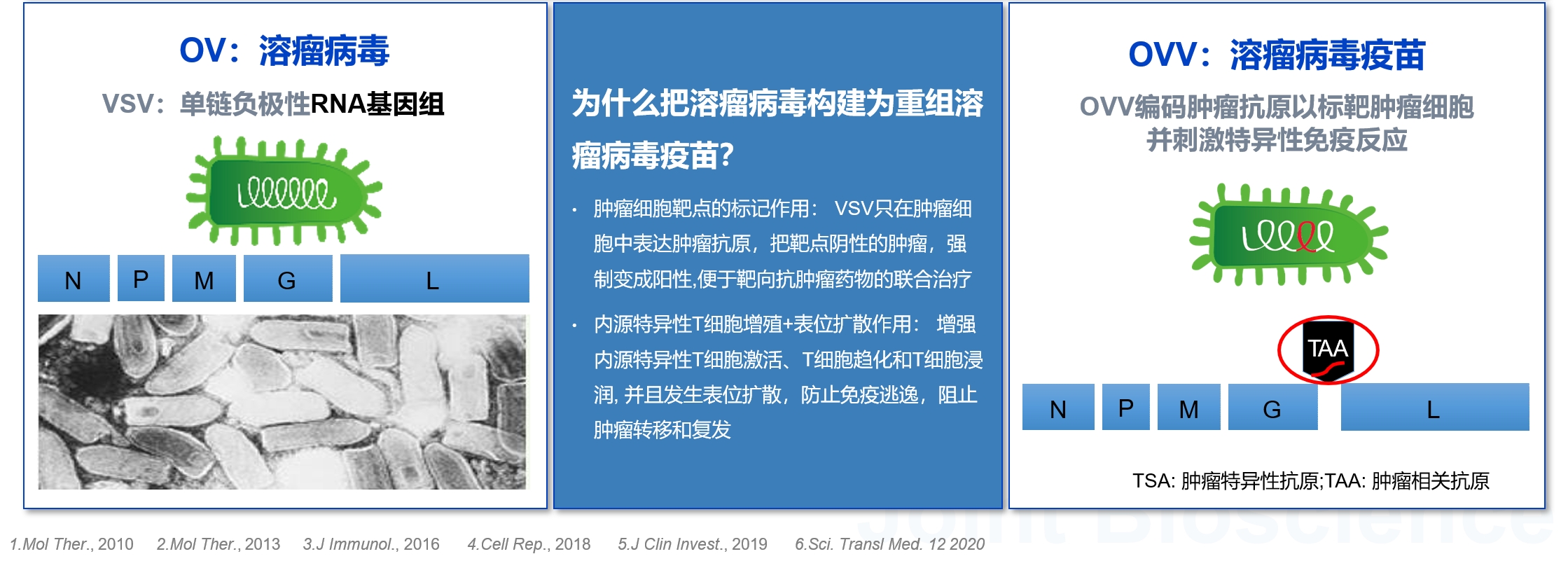 微信截圖_20250327145637.png